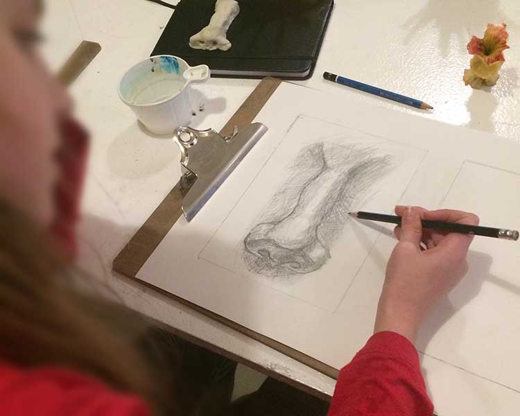 Tegnekurser hvor børn lærer at tegne på PS Kunstskole
